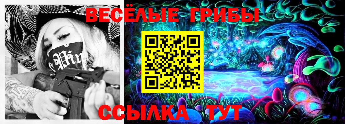 Галлюциногенные грибы Cubensis Кириши