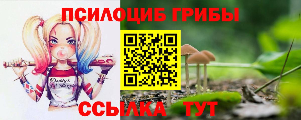 Галлюциногенные грибы ЛСД  Галлюциногенные грибы Magic Shrooms  Кириши  Вход с VPN 